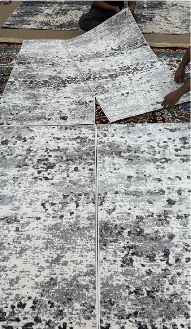  Custom Printed Carpet